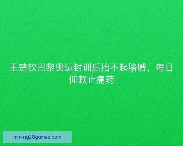 王楚钦巴黎奥运封训后抬不起胳膊，每日仰赖止痛药